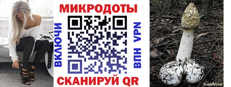 omg как войти  Гаджиево  Псилоцибиновые грибы Psilocybe 
